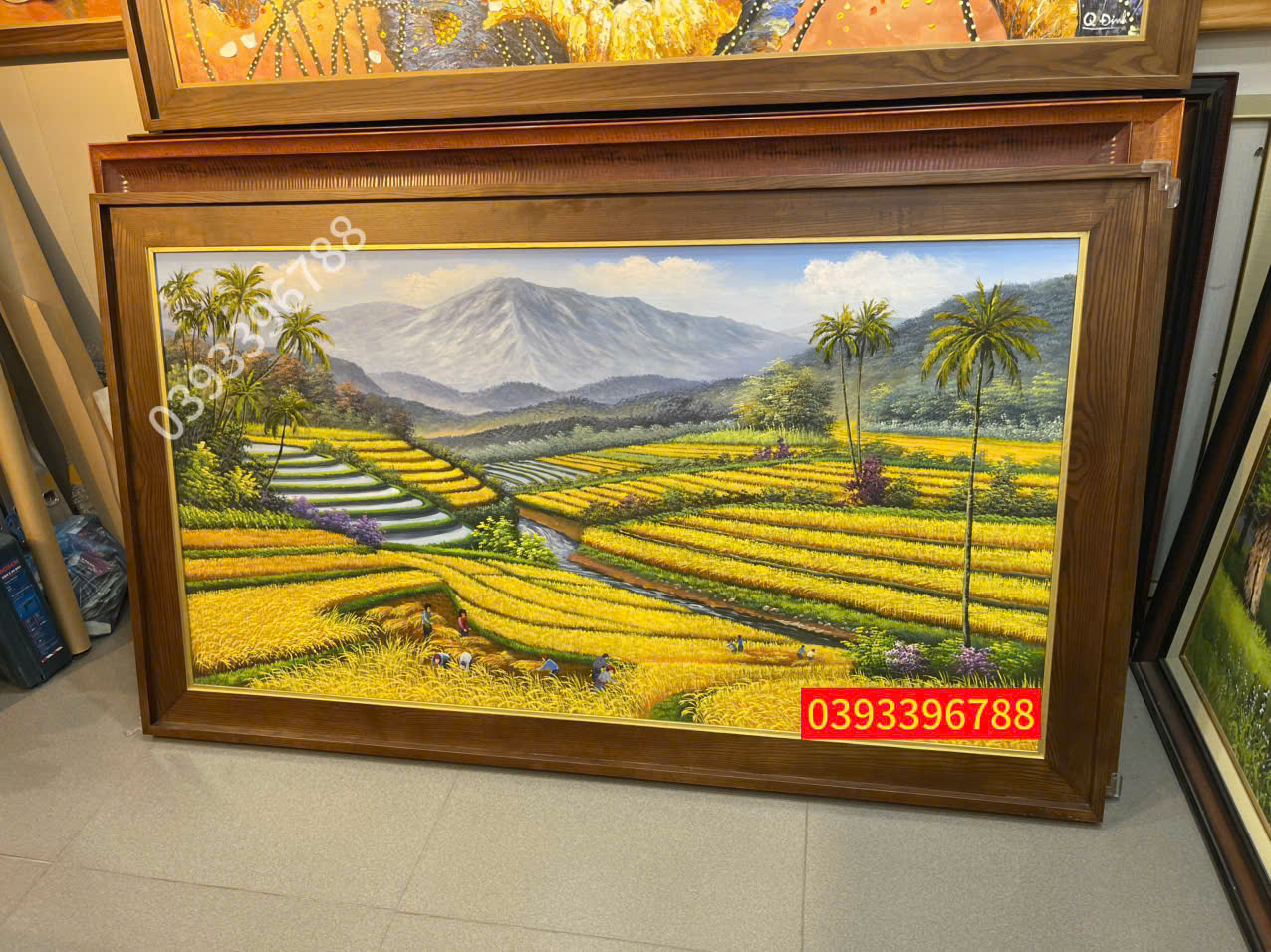 tranh ruộng bâc thang đẹp